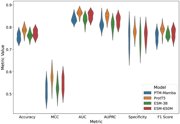 ResLysEmbed: a ResNet-based framework for succinylated lysine residue prediction using sequence and language model embeddings.