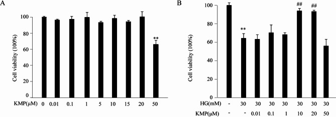 The protective effect of kaempferol on high glucose-stimulated renal tubular epithelial cells.
