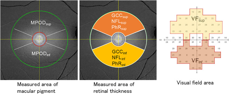 The Relationship Between Macular Pigment Optical Volume and Visual Function in Glaucoma Patients.