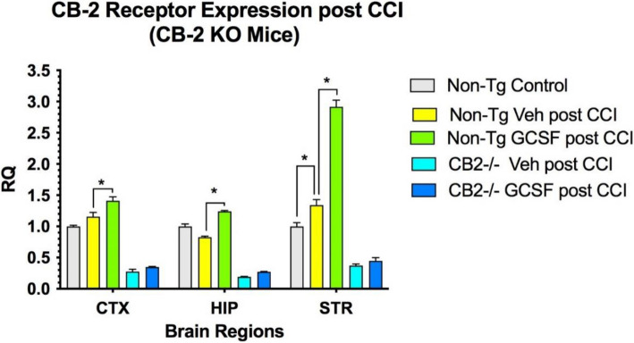 Promotion of recovery from Traumatic Brain Injury (TBI) by Granulocyte Colony-Stimulating Factor (G-CSF) treatment requires cannabinoid receptor type 2 activity.
