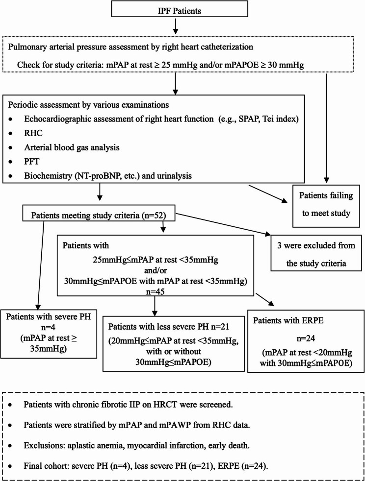 Evaluation of the impact of pulmonary circulation, particularly pulmonary vascular resistance, in patients with idiopathic pulmonary fibrosis: an exploratory study.