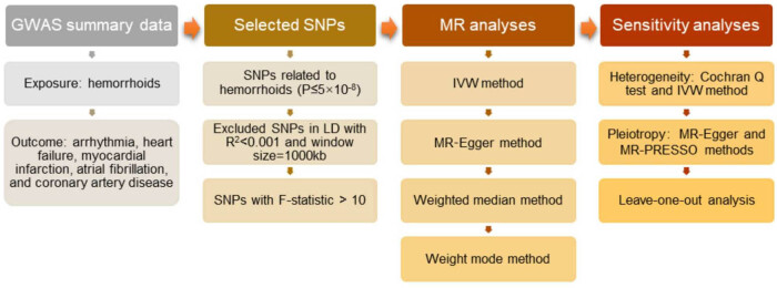 Hemorrhoids and cardiovascular disease: A bidirectional Mendelian randomization study.
