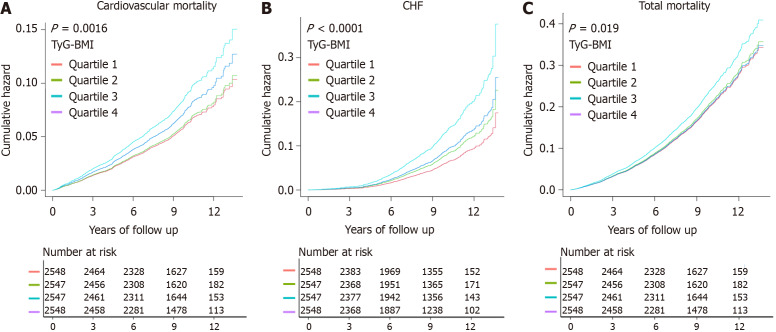 Triglyceride glucose-body mass index is associated with cardiovascular outcomes and overall mortality in type-2 diabetes mellitus patients.