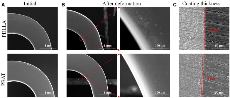 Protection mechanism investigation of a protective coating on magnesium alloy stents via deformation model construction and the simulation of cellular automata.