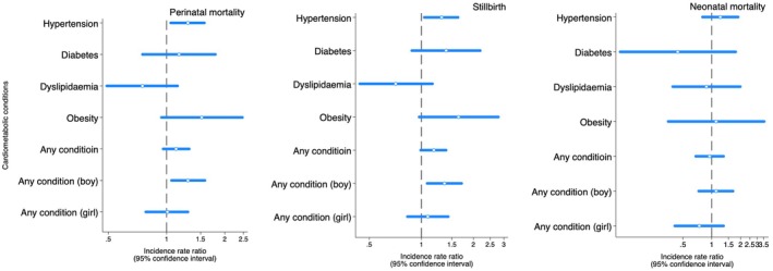 Paternal Cardiometabolic Conditions and Perinatal Mortality.