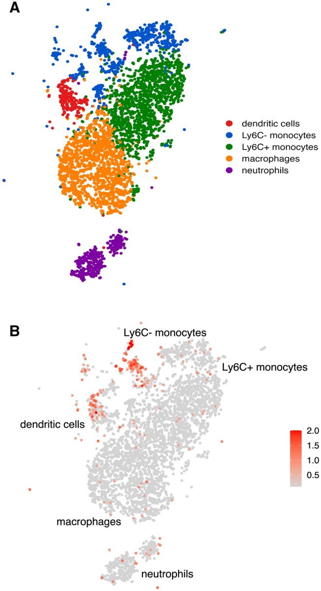 The cat's out of the bag: Toxoplasma gondii provides further insight into myeloid-mediated host defense.