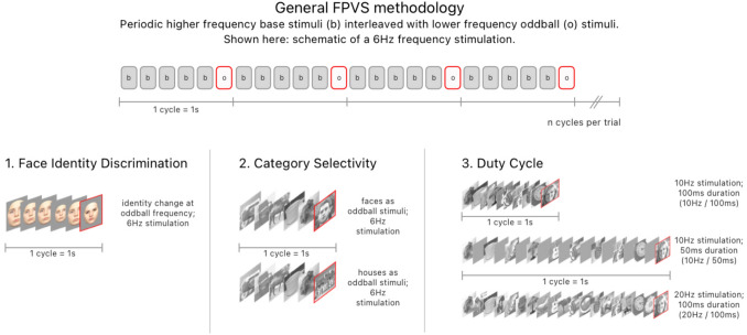 Super-Recognizers, or Su-Perceivers? Insights from fast periodic visual stimulation (FPVS) EEG.