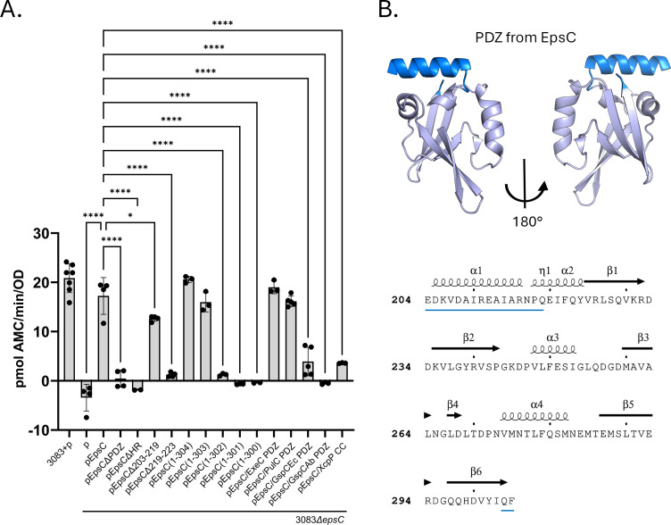 The PDZ domain of EpsC is required for extracellular secretion of VesB by the Type II secretion system in <i>Vibrio cholerae</i>.