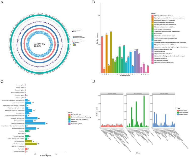 Kerstersia gyiorum infection in a patient with chronic suppurative otitis media identified by whole genome sequencing: a case report.