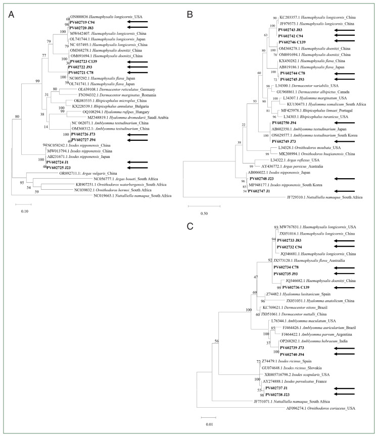 Molecular characterization of tick genera Haemaphysalis, Ixodes, and Amblyomma in Korea.