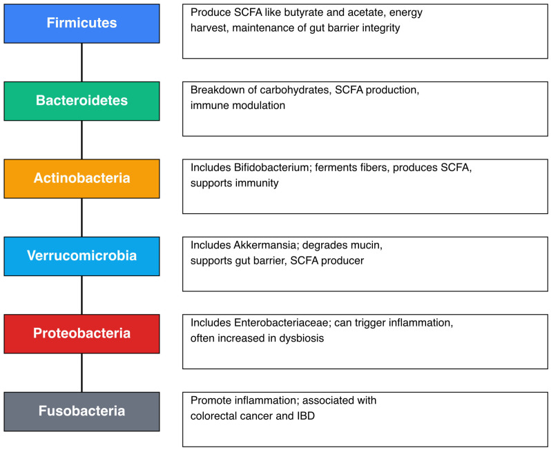 Host-Microbiome Interaction in the Intensive Care Unit.