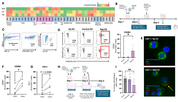 Lymphoma-derived extracellular vesicles inhibit CAR T cell function.