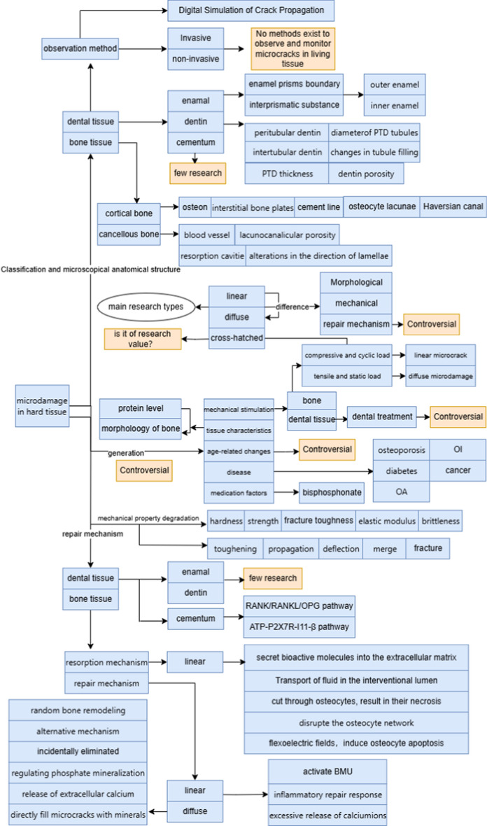 Microdamage in biological hard tissues and its repair mechanisms.