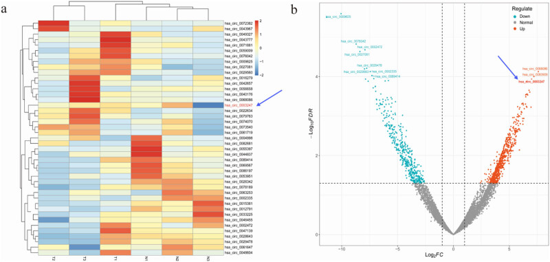CircASH1L-mediated tumor progression in triple-negative breast cancer: PI3K/AKT pathway mechanisms.