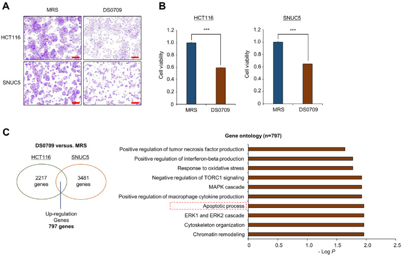 Apoptosis-Inducing Effects of <i>Lactobacillus plantarum</i> DS0709 in Colorectal Cancer.