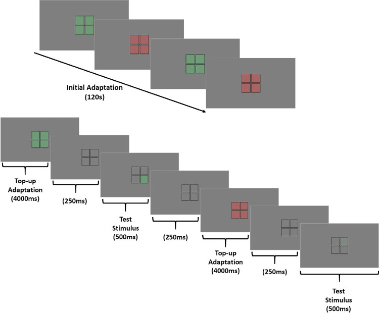 Color contrast adaptation and compensation in color deficiencies.
