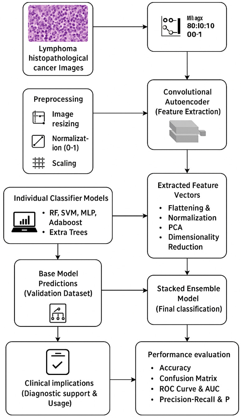 Autoencoder-Assisted Stacked Ensemble Learning for Lymphoma Subtype Classification: A Hybrid Deep Learning and Machine Learning Approach.