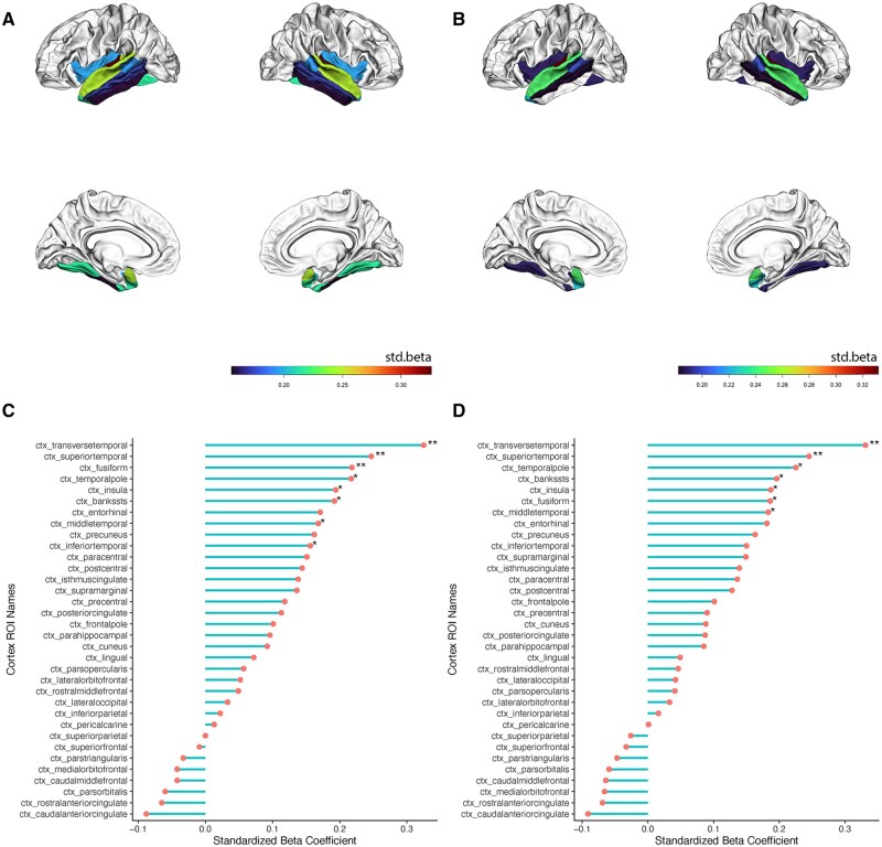 Advanced brain aging, selective vulnerability in gray matter, and cognition in Parkinson's disease.