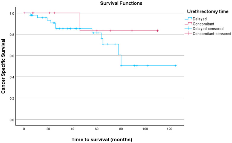Delayed vs. Concomitant Urethrectomy for Non-Metastatic Urothelial Carcinoma of the Urinary Bladder Undergoing Radical Cystectomy: Perioperative and Survival Outcomes from a Single Tertiary Centre in the United Kingdom.
