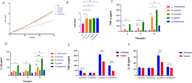 Isolation, culture, and in vitro functional validation of intratumor bacteria from lung cancer patients.