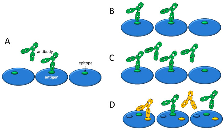 A 3D Surface Plot for the Effective Visualization of Specific Serum Antibody Binding Properties.