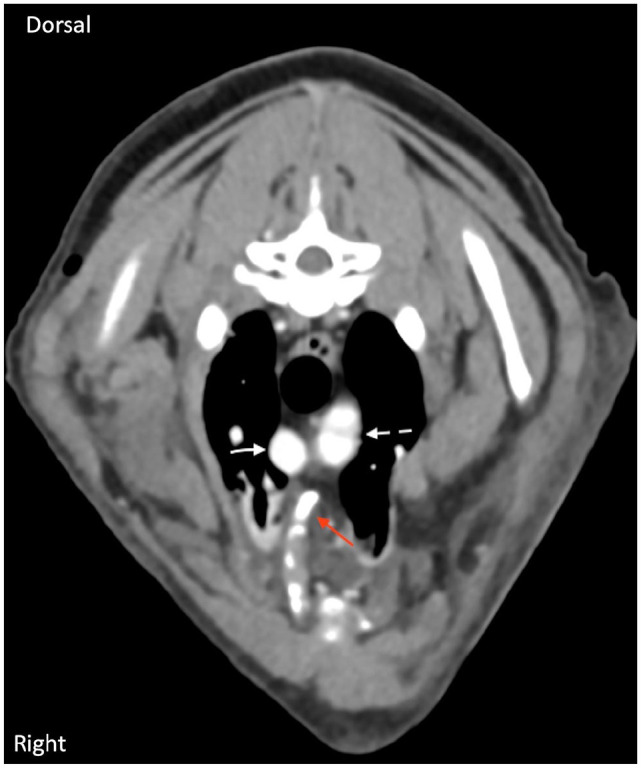 Video-assisted thoracoscopic-guided reduction and external stabilisation of traumatic rib fractures in a cat.