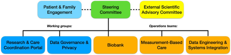 The BrainHealth Databank: a systems approach to data-driven mental health care and research.
