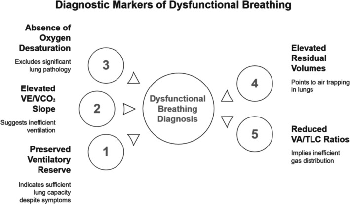 Cardiopulmonary Exercise Testing in Dysfunctional Breathing: A Case Series of Five Young Women.