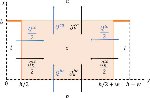 A mathematical model of corneal endothelium pump function.