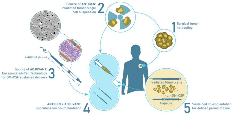 Overall survival of recurrent/metastatic head & neck squamous cell carcinoma patients progressing after ≥ 1 line of systemic therapy, treated with MVX-ONCO-1, a novel, first in class cell encapsulation-based immunotherapy: results of SAKK 11/16, a phase IIa trial.