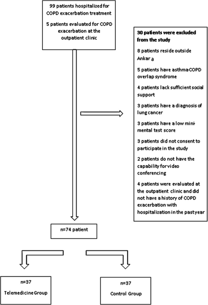 Evaluation of patients diagnosed with chronic obstructive pulmonary disease in terms of treatment compliance and quality of life after follow-up with telemedicine: a randomized controlled trial.