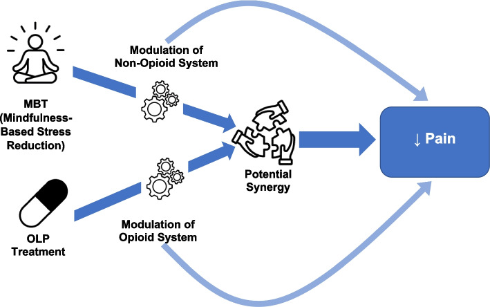 Combining mindfulness intervention and open-label placebo treatment for chronic pain: a protocol for a feasibility study.