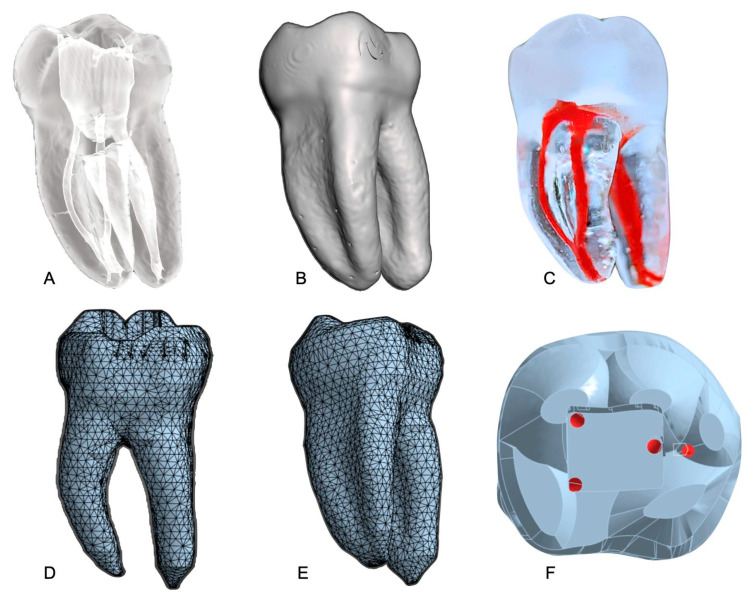 Multimodal Evaluation of Three NiTi Rotary Systems: Clinical Simulation, Mechanical Testing, and Finite Element Analysis.