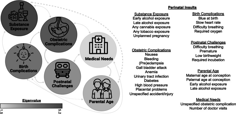 Perinatal insult dimensions and developmental trajectories of psychotic-like experiences.