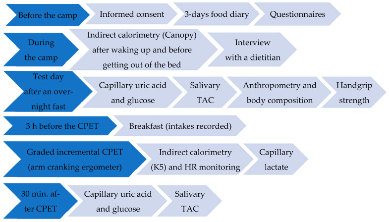 A Comparative Study of Paralympic Veterans with Either a Spinal Cord Injury or an Amputation: Implications for Personalized Nutritional Advice.