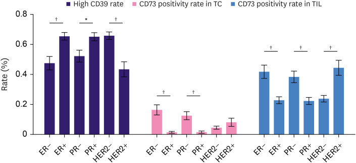 CD39 and CD73 Expression in Breast Cancer: CD73 as a Favorable Prognostic Factor in HER2-Positive Tumors.