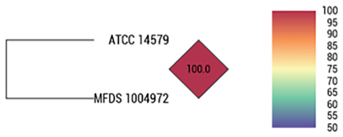 Development of a Domestic Alternative Positive Control Strain to <i>Bacillus cereus</i> ATCC 14579 for Microbial Assays.