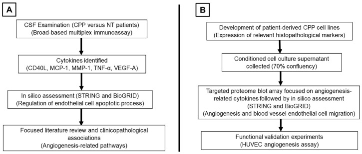Identifying Angiogenic Factors in Pediatric Choroid Plexus Papillomas.