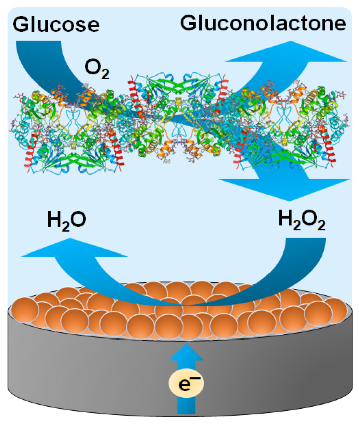 An Amperometric Enzyme-Nanozyme Biosensor for Glucose Detection.