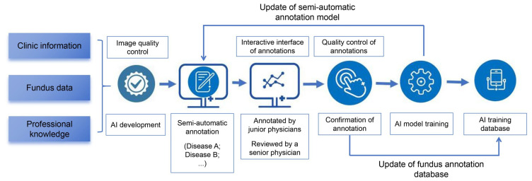 AI-Assisted Screening for Diabetic Retinopathy and Fundus Abnormalities in a Large-Scale Physical Examination Population.