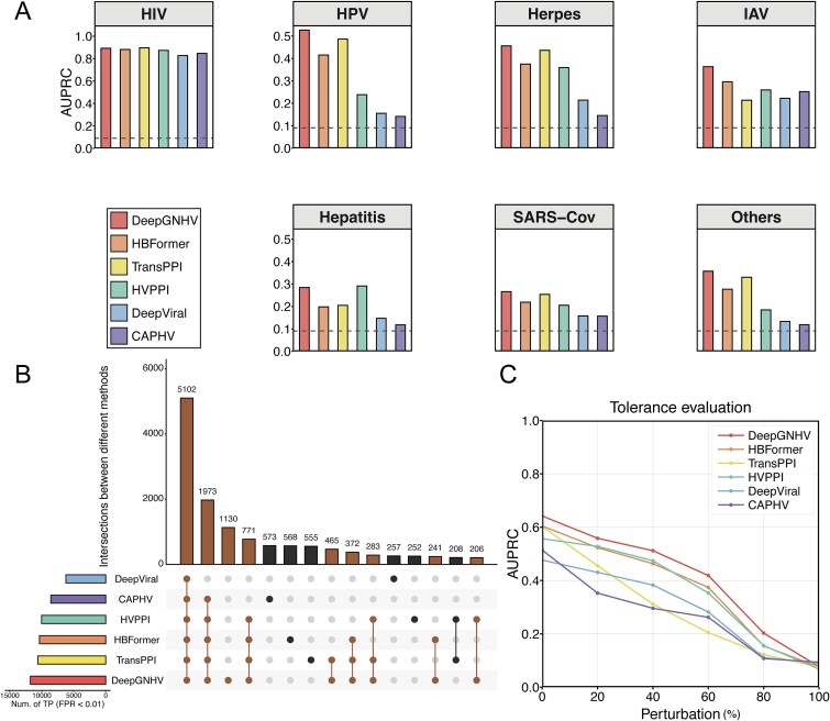 Graph neural network integrated with pretrained protein language model for predicting human-virus protein-protein interactions.