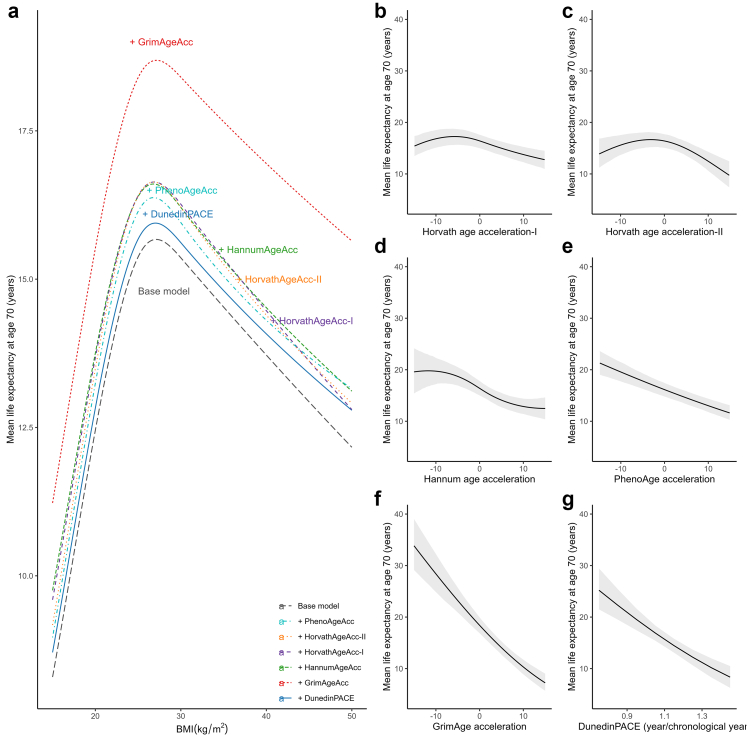 The mediating role of epigenetic ageing in the nonlinear association between body mass index and survival: a prospective cohort analysis of the US Health and Retirement Study.