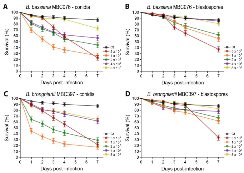 Larvicidal and Immunomodulatory Effects of Conidia and Blastospores of <i>Beauveria bassiana</i> and <i>Beauveria brongniartii</i> in <i>Aedes aegypti</i>.