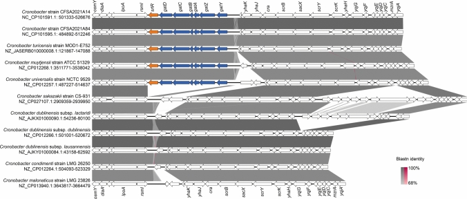 Whole Genome Sequencing-Based Taxonomic Identification of Dulcitol-Positive Cronobacter dublinensis subsp. beijingensis subsp. nov. and Cronobacter dublinensis subsp. infanticibi subsp. nov. from Infant Cereals in China.