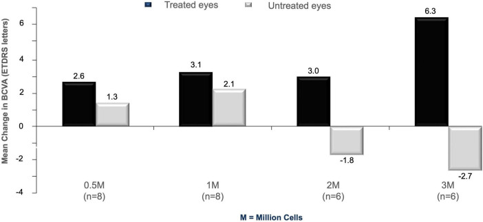 Retinal progenitor cells (jCell) for retinitis pigmentosa.