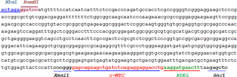 The DREB7 transcription factor enhances salt tolerance in soybean plants under salt stress.