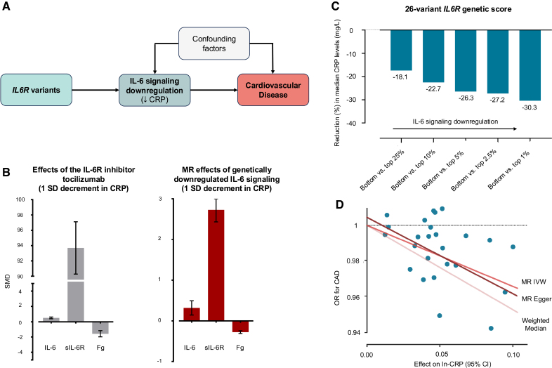 Human Genetics Informing Drug Development in Cardiovascular Disease: Interleukin-6 Signaling as a Case Study.