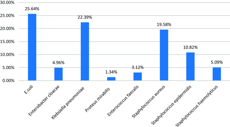 Antimicrobial susceptibility patterns of Escherichia coli from various clinical sources.