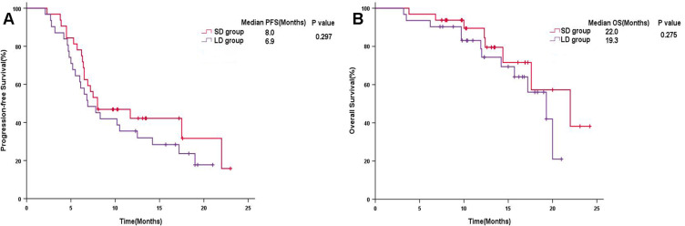 Efficacy and Safety of Different Doses of Bevacizumab Combined with Atezolizumab in Unresectable Hepatocellular Carcinoma.