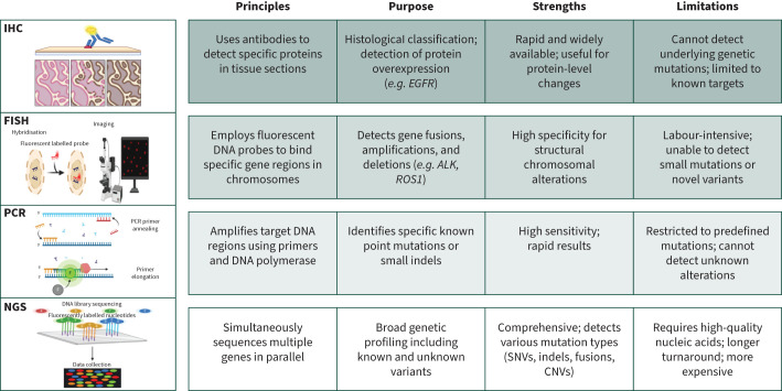 Liquid biopsy in lung cancer.